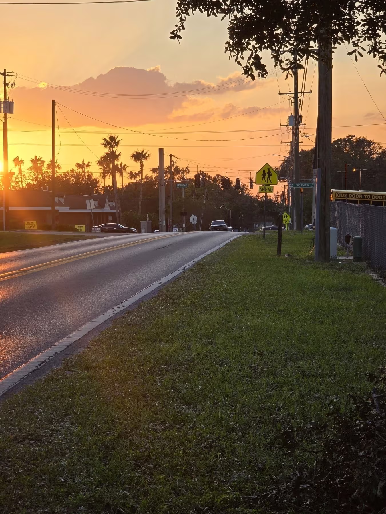 Auto-generated description: A road stretches into the distance with a vibrant sunset, silhouetted palm trees, and a school crossing sign on the green roadside.