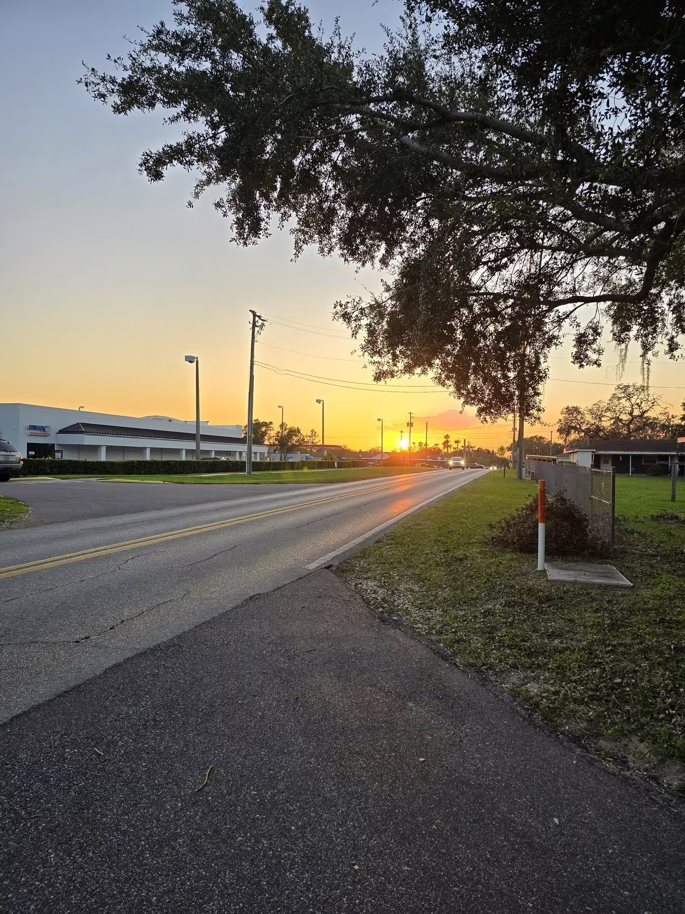 A peaceful road is lit by the warm glow of a sunset, with trees and buildings in the background.