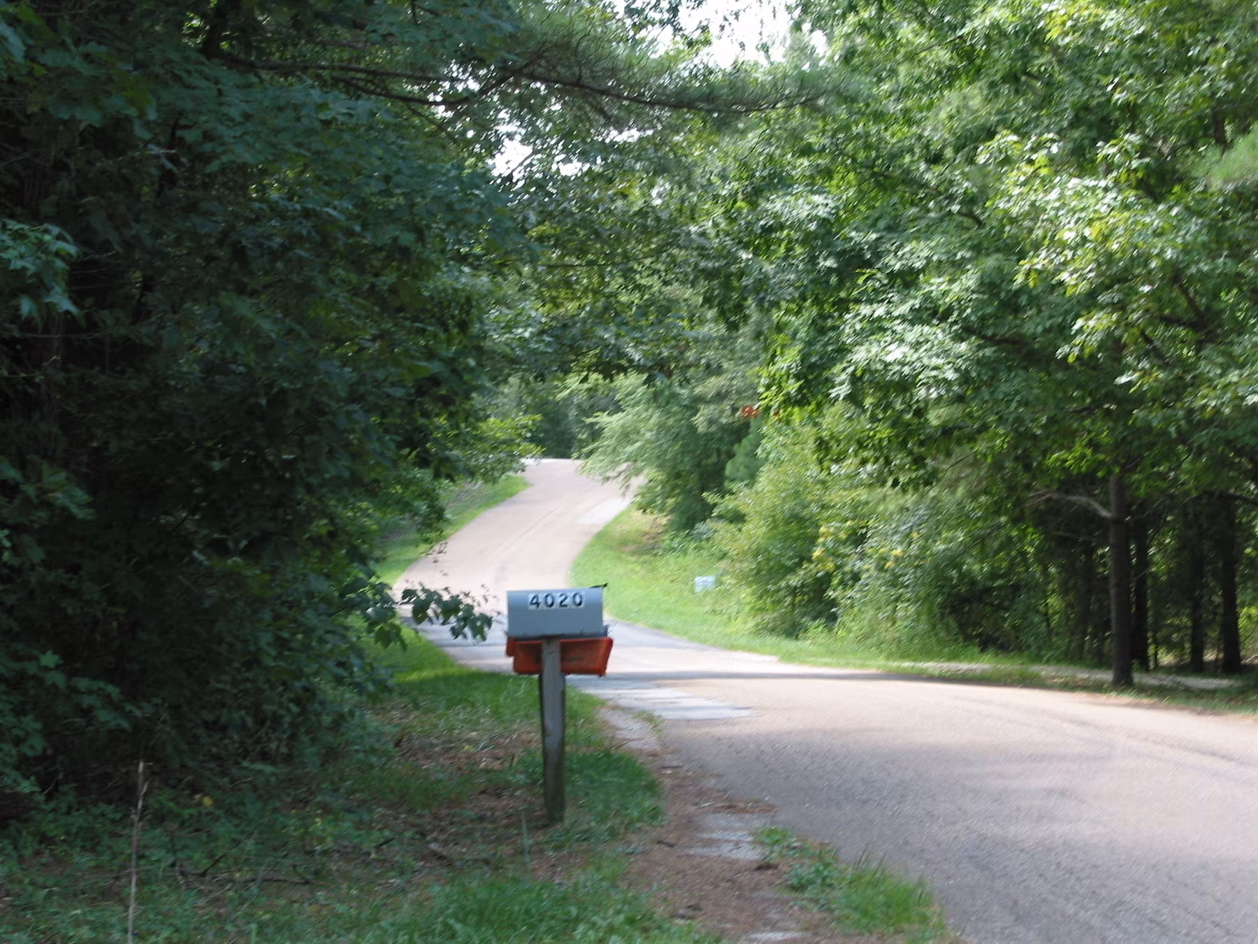 A rural road flanked by lush greenery features a mailbox with the number 4020.