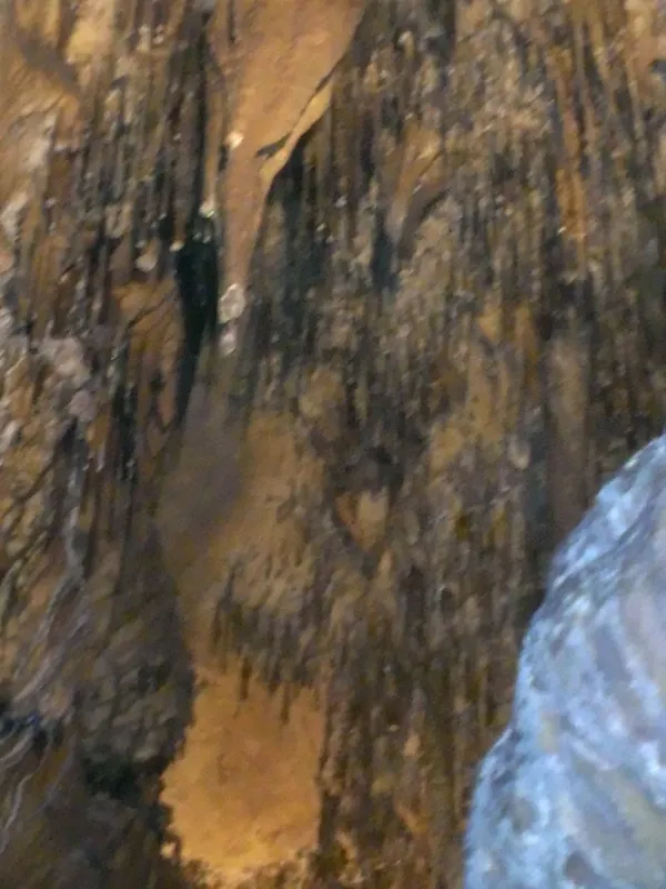 Dense cluster of stalactites in the cave