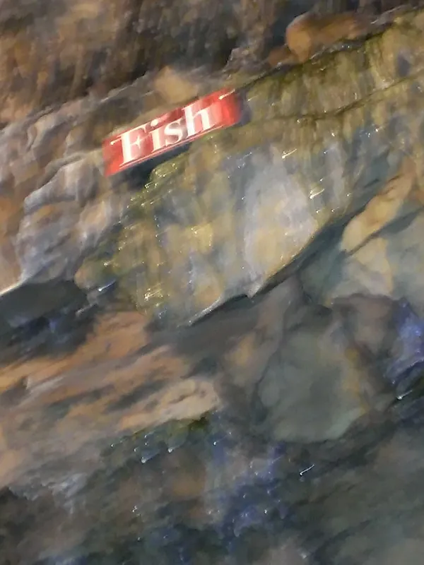 Cave rock wall with a red sign labeled Fish marking a named formation