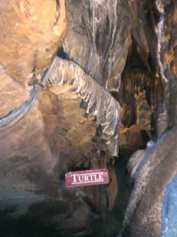 Cave stalagmite formation labeled Turtle