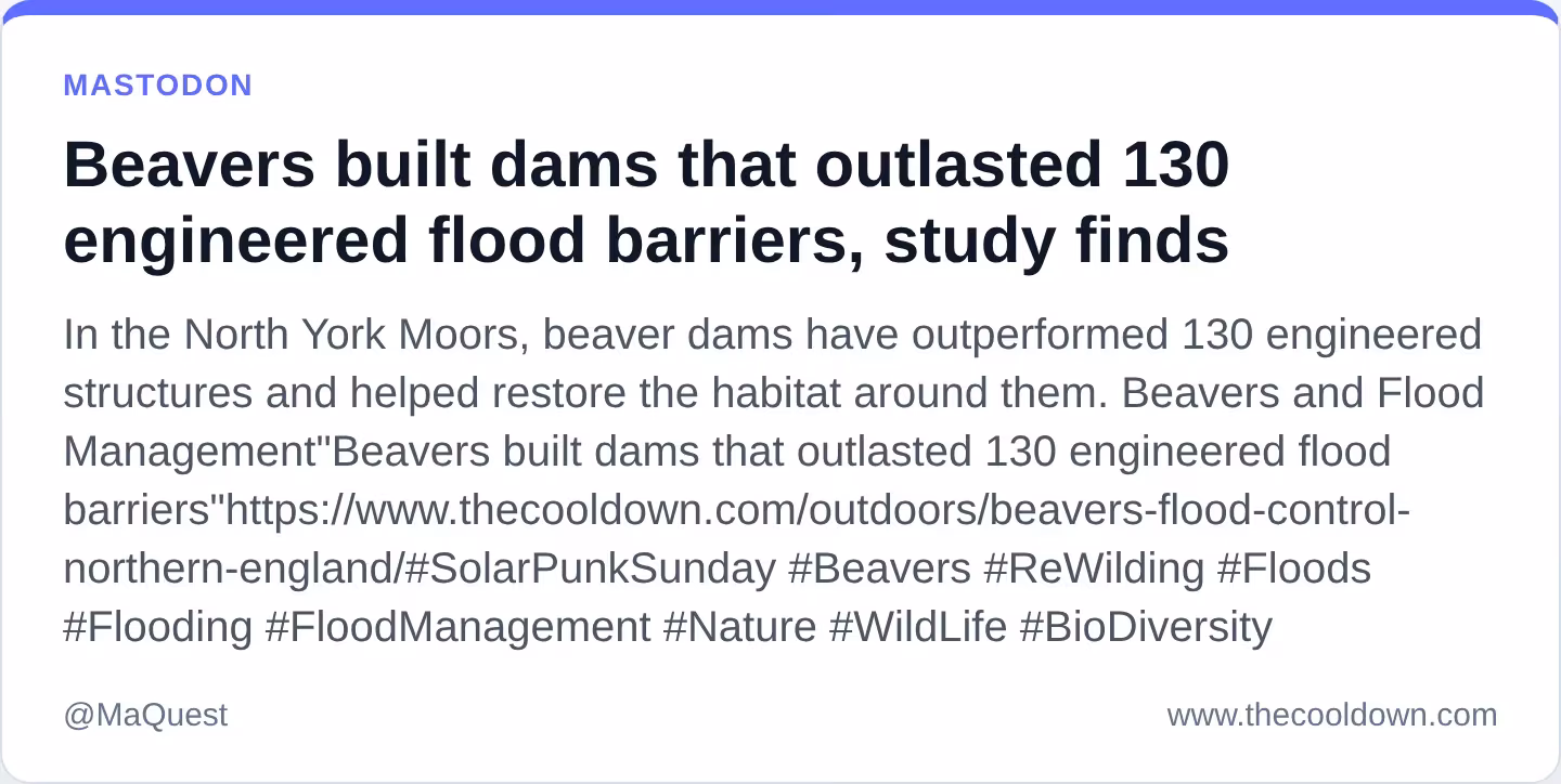 Beavers built dams that outlasted 130 engineered flood barriers, study finds